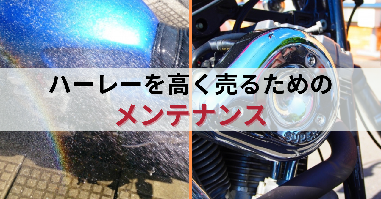 n[[̃oCN邽߂̃eiX
