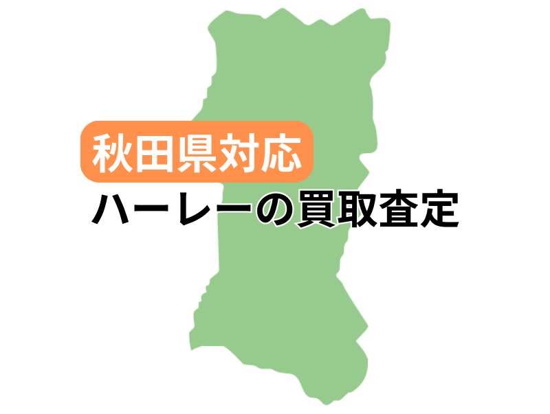 HcΉŃn[[_rbh\̃oCN̔捸󂯕t