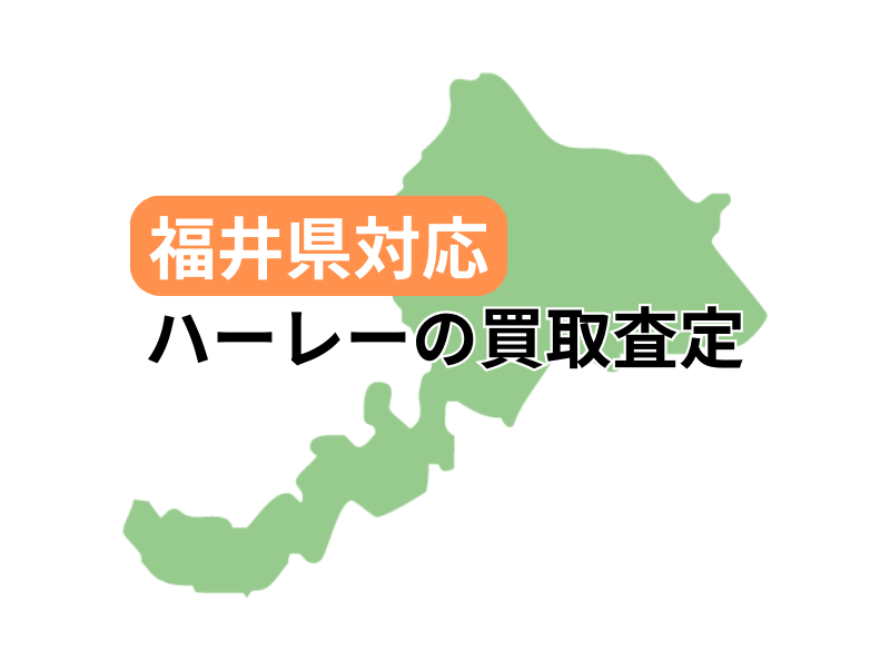 䌧ΉŃn[[_rbh\̃oCN̔捸󂯕t