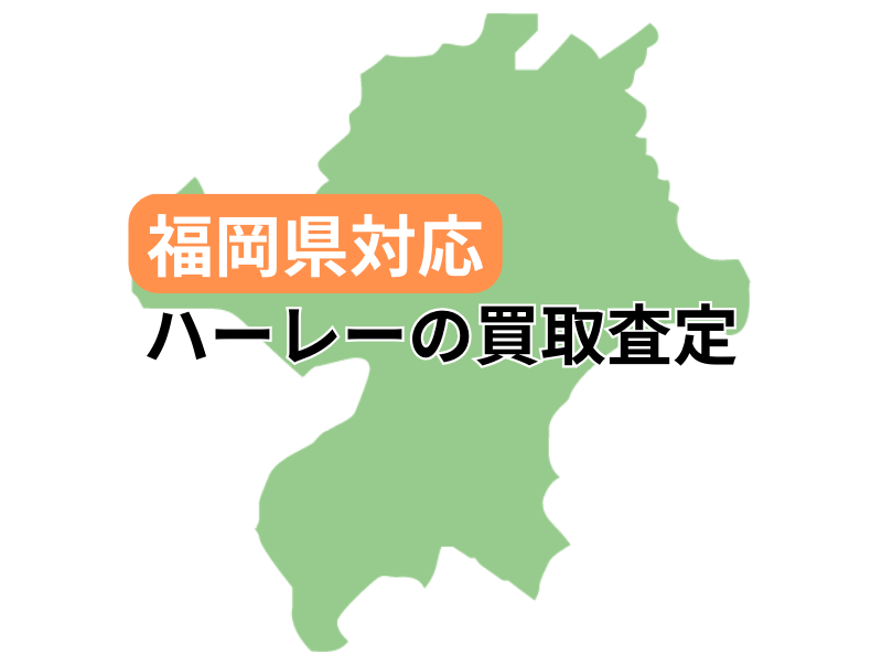 ΉŃn[[_rbh\̃oCN̔捸󂯕t