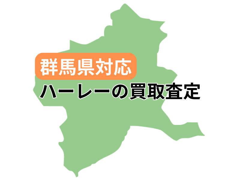 QnΉŃn[[_rbh\̃oCN̔捸󂯕t