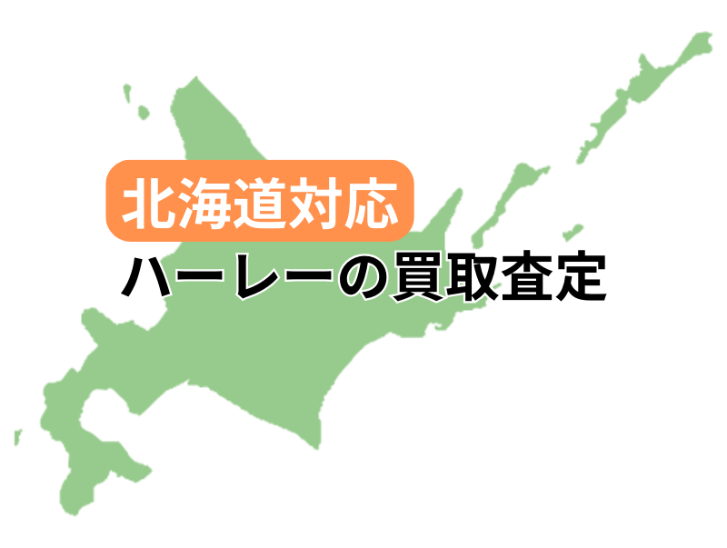 kCΉŃn[[_rbh\̃oCN̔捸󂯕t