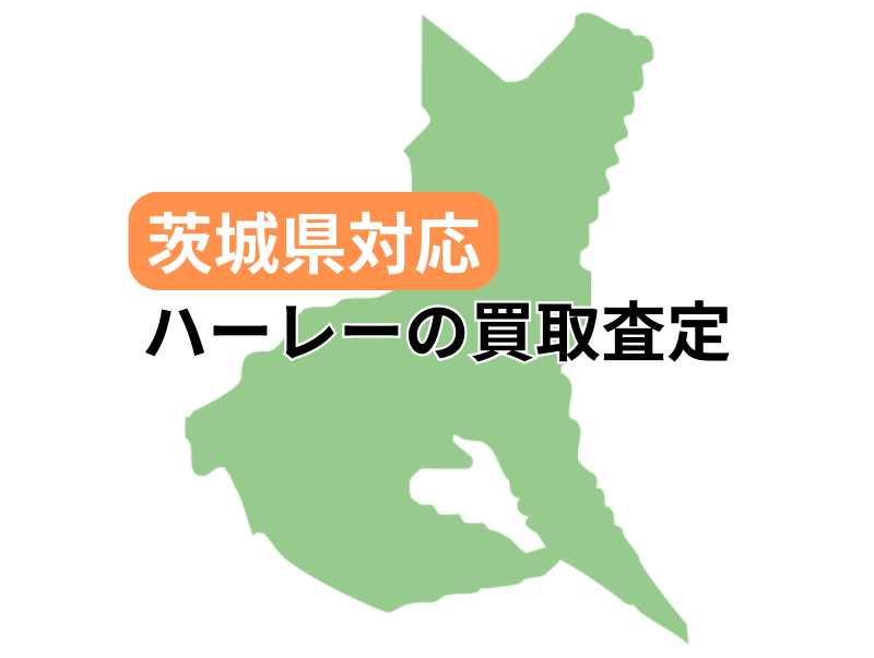 錧ΉŃn[[_rbh\̃oCN̔捸󂯕t