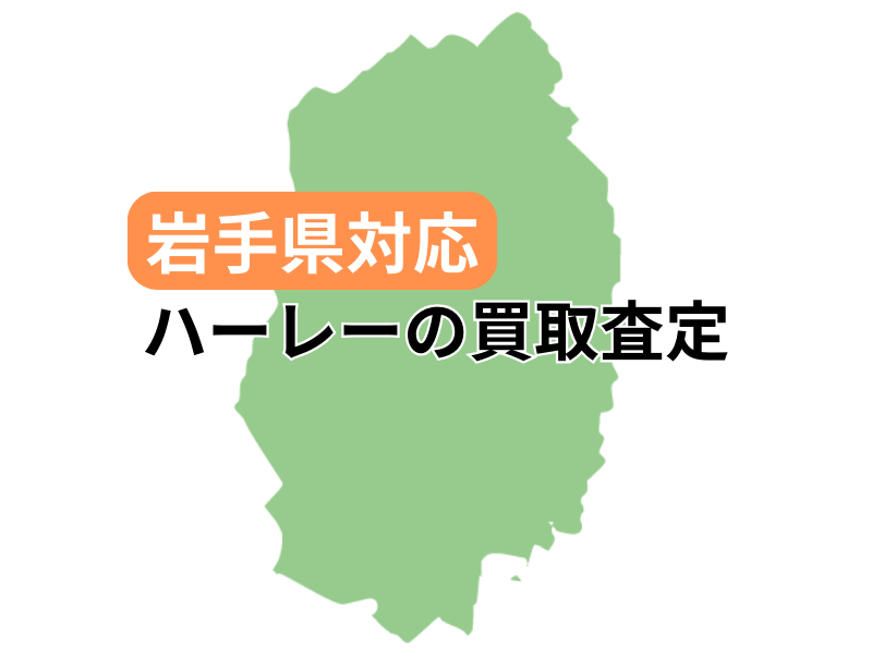 茧ΉŃn[[_rbh\̃oCN̔捸󂯕t