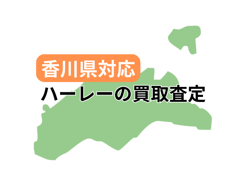 쌧ΉŃn[[_rbh\̃oCN̔捸󂯕t