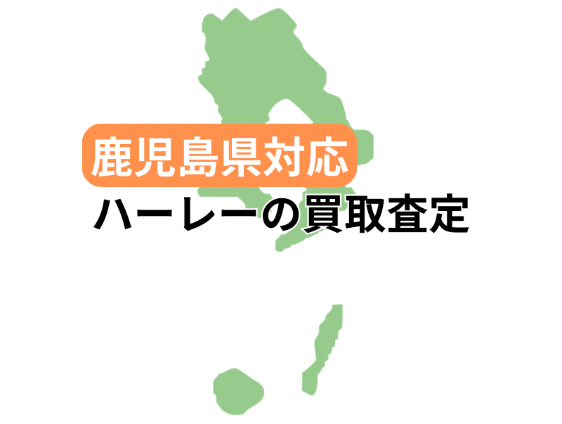 ΉŃn[[_rbh\̃oCN̔捸󂯕t
