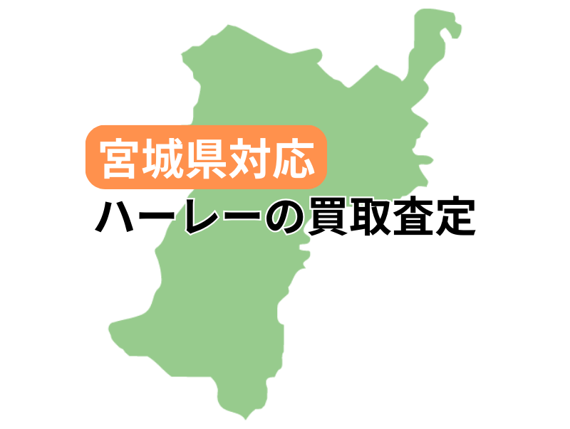 {錧ΉŃn[[_rbh\̃oCN̔捸󂯕t