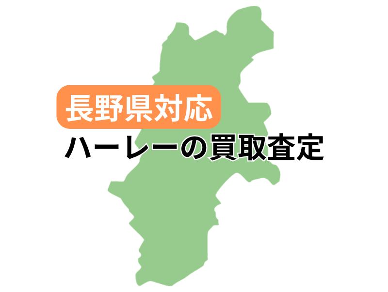 쌧ΉŃn[[_rbh\̃oCN̔捸󂯕t