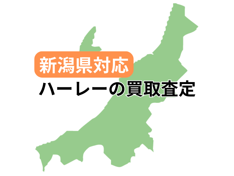 VΉŃn[[_rbh\̃oCN̔捸󂯕t
