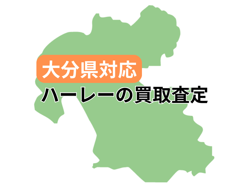 啪ΉŃn[[_rbh\̃oCN̔捸󂯕t