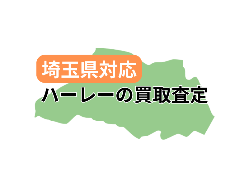 ʌΉŃn[[_rbh\̃oCN̔捸󂯕t