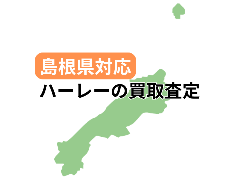 ΉŃn[[_rbh\̃oCN̔捸󂯕t