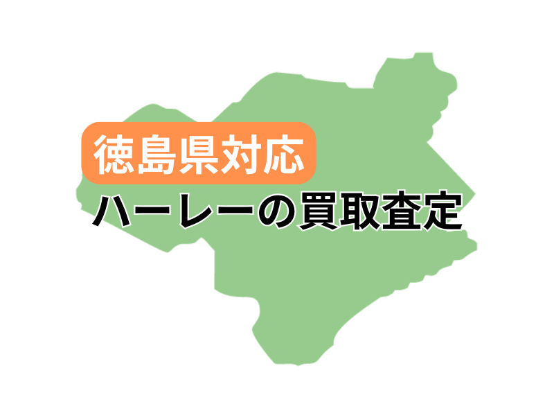 ΉŃn[[_rbh\̃oCN̔捸󂯕t