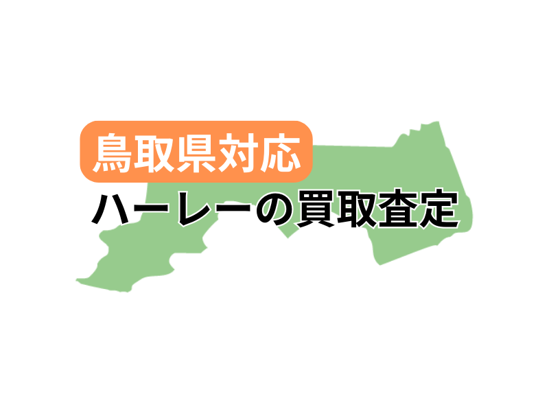 挧ΉŃn[[_rbh\̃oCN̔捸󂯕t