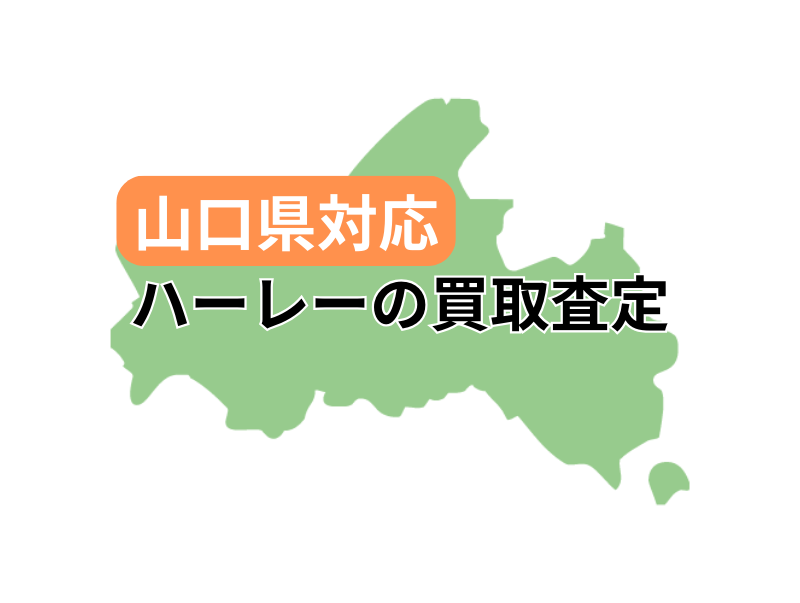 RΉŃn[[_rbh\̃oCN̔捸󂯕t