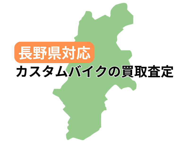 쌧ŃJX^oCN̔捸