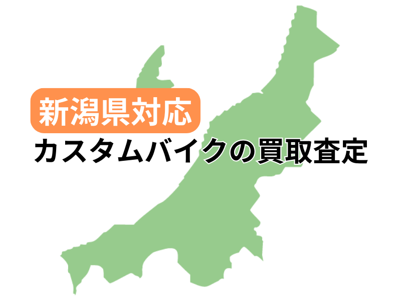 VŃJX^oCN̔捸