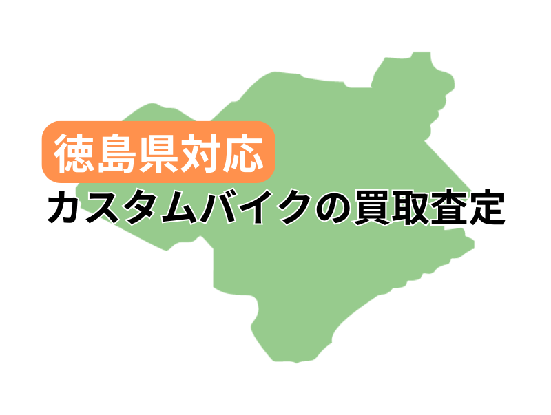 ŃJX^oCN̔捸